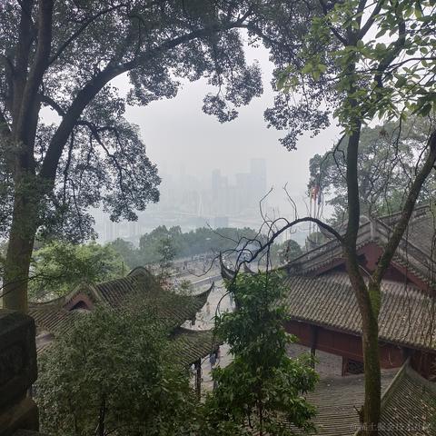 黑了要关门于2022-11-30 12:04发布的图片