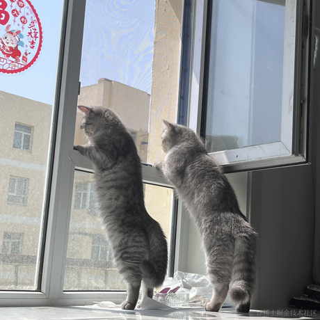 进阶的小叮当于2023-05-20 18:50发布的图片