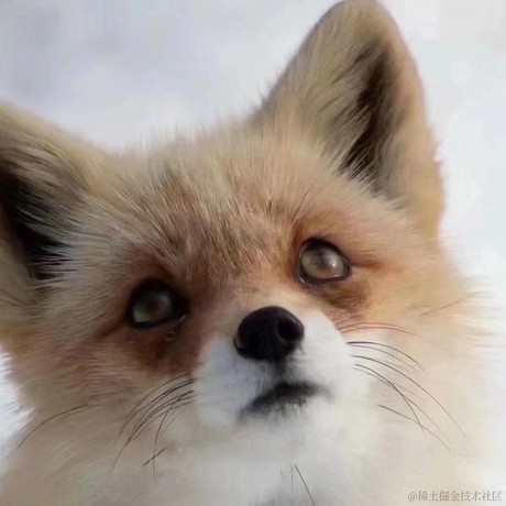 白影于2022-11-12 10:52发布的图片