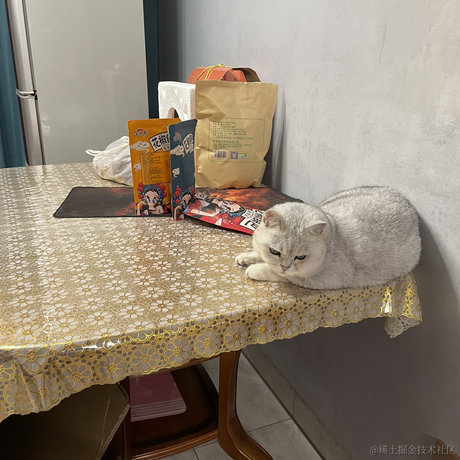 Gangangan于2023-07-17 19:12发布的图片