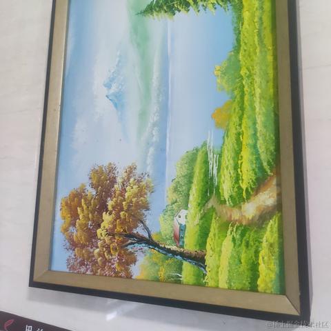 猫雷最强于2022-11-14 07:09发布的图片