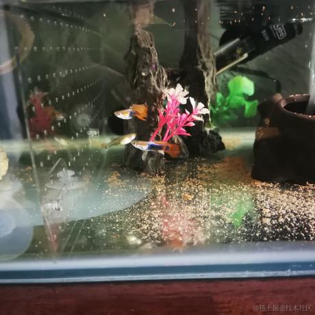 BC小平于2022-12-11 11:32发布的图片