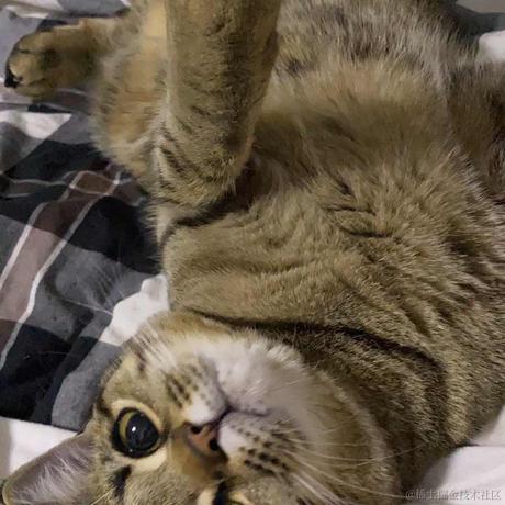 宽宽呦于2023-01-10 09:21发布的图片