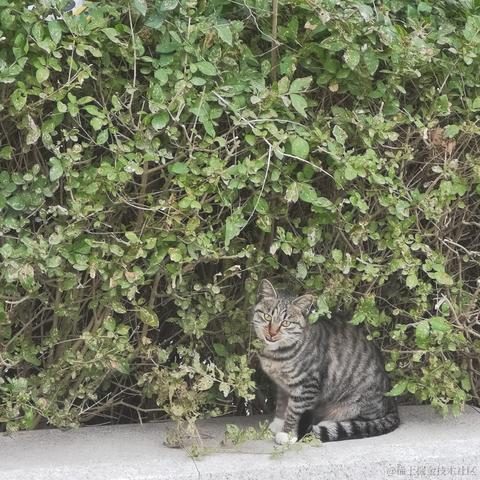 CYQ的理想三旬于2023-11-03 09:10发布的图片