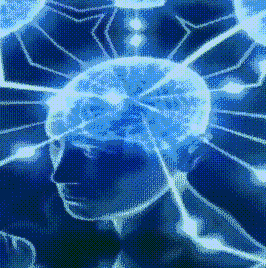 晚的碗于2022-12-13 22:36发布的图片