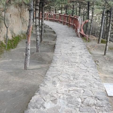 YummyGn于2022-11-19 22:05发布的图片