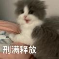 无法释怀于2024-04-29 10:09发布的图片
