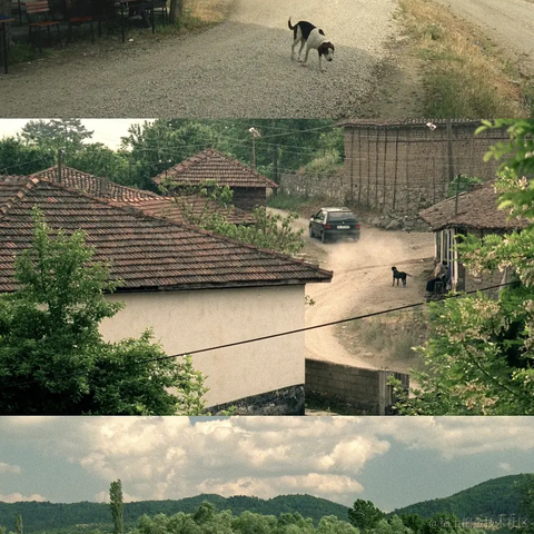 紫菜捏于2022-11-25 12:59发布的图片