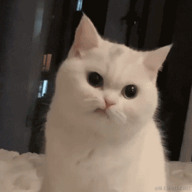 三渠再拉河_于2021-11-09 11:05发布的图片