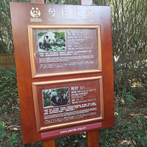 爱吃嘉晚饭于2023-07-05 09:22发布的图片