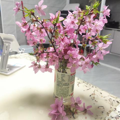 小何1217于2023-03-19 23:11发布的图片