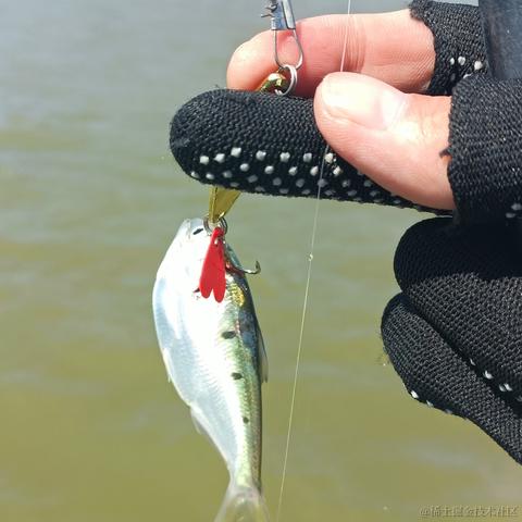 莫奈子于2022-10-12 13:10发布的图片