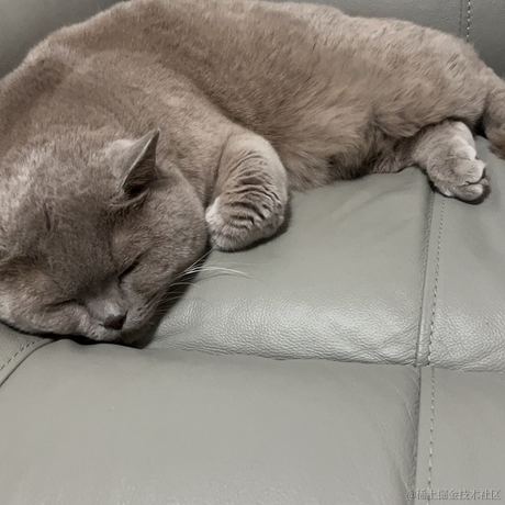 普通杨桃干于2022-11-21 10:38发布的图片