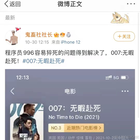 海棠无香于2021-11-01 14:46发布的图片