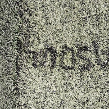 嘉乃贝晚于2022-12-12 23:32发布的图片