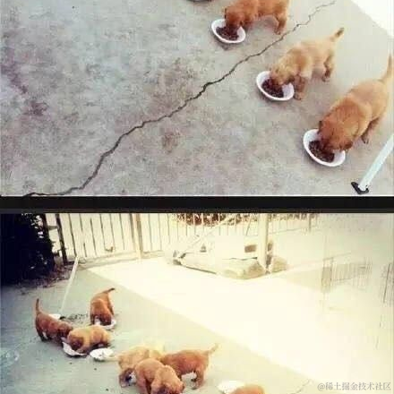 每天有什么好笑的于2021-09-06 14:44发布的图片