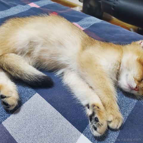 将军山最速下山传说于2020-11-09 19:56发布的图片