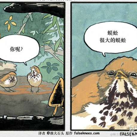 拾山于2022-08-25 16:25发布的图片