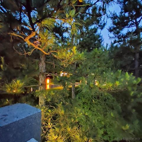 w减速完再走于2022-12-02 08:33发布的图片