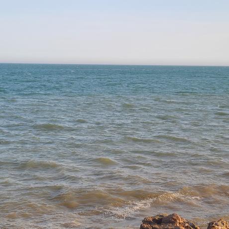 灰都没得于2023-04-23 21:05发布的图片