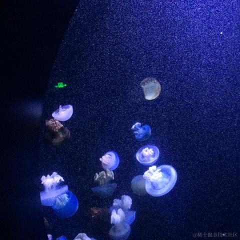 魔怔时代于2022-11-15 19:02发布的图片