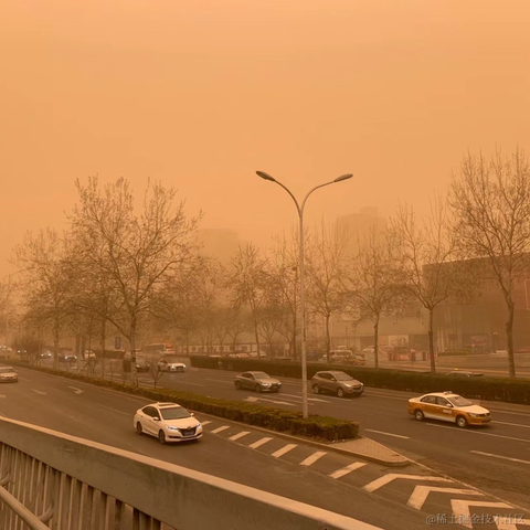 沉默寡言左家琦于2021-03-15 12:57发布的图片