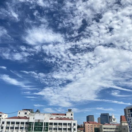 小道大成于2023-08-30 13:06发布的图片