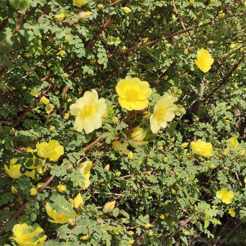 丹舟于2023-05-01 17:32发布的图片