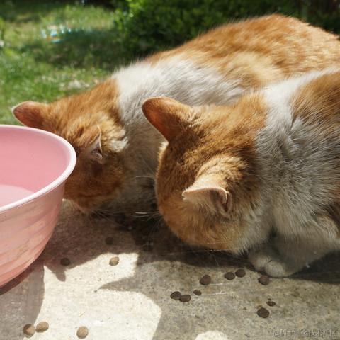 高买低卖艺术家于2023-04-02 20:25发布的图片