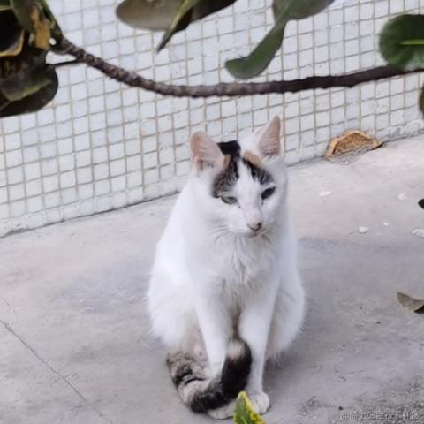 Wei于2022-11-09 23:56发布的图片