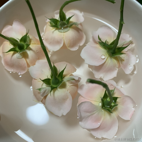 SloppyJack于2021-07-09 22:19发布的图片