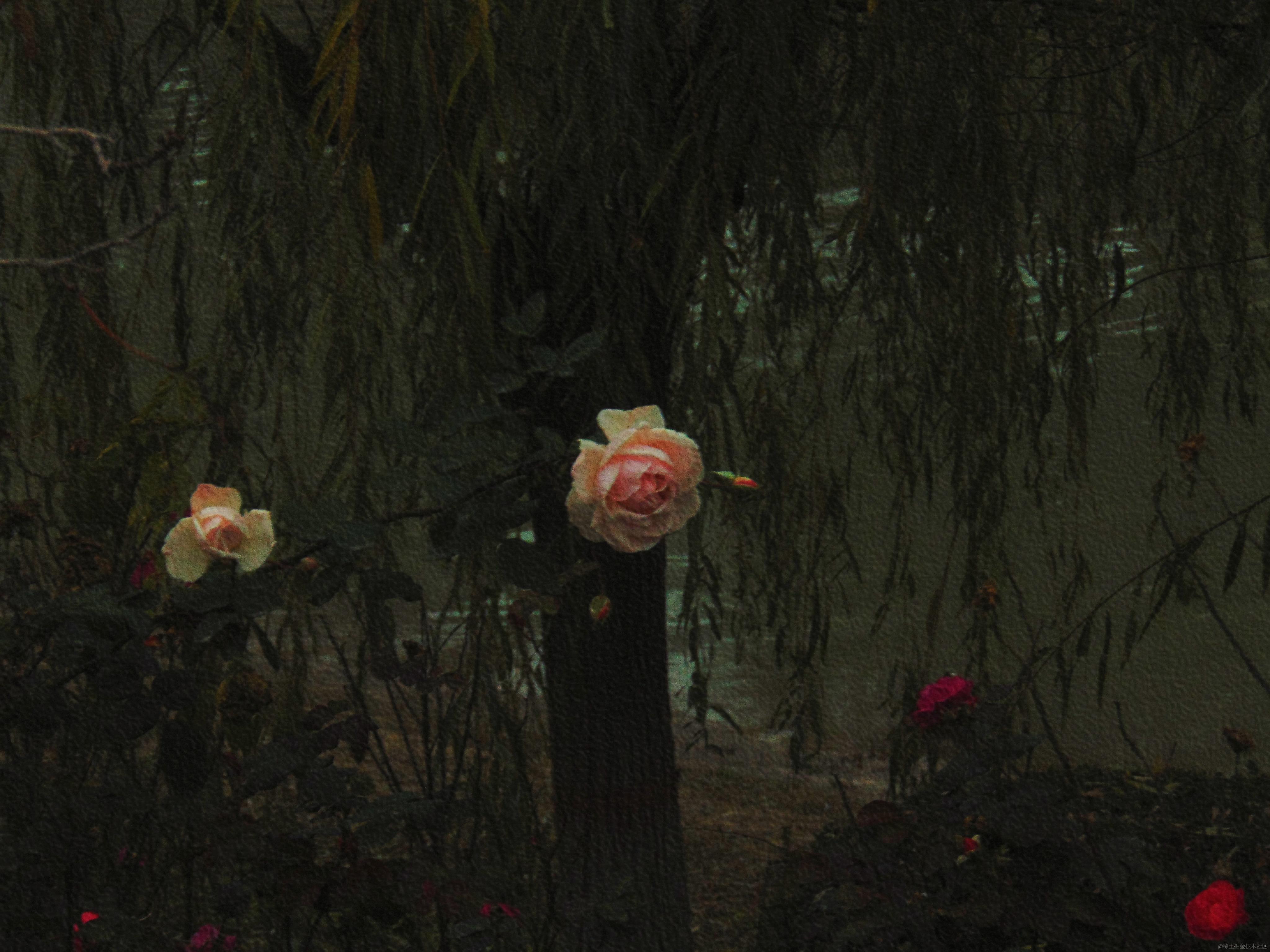 我遇到的问题&解决办法