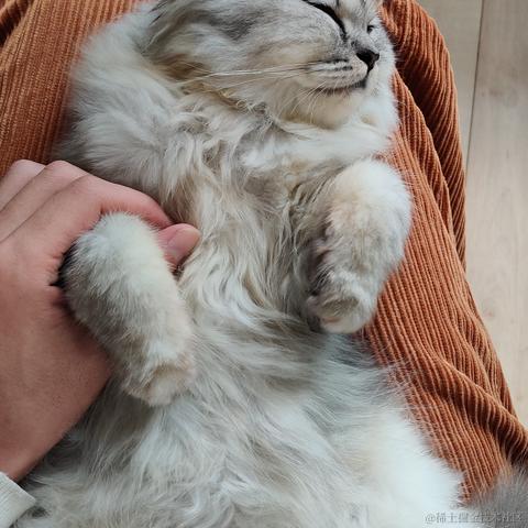 VHG于2021-10-28 09:54发布的图片