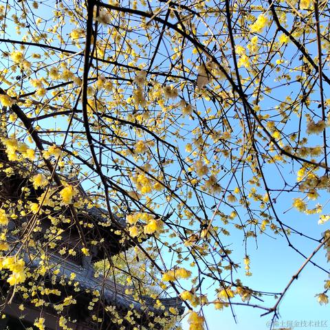 Sarah_于2024-01-24 14:10发布的图片