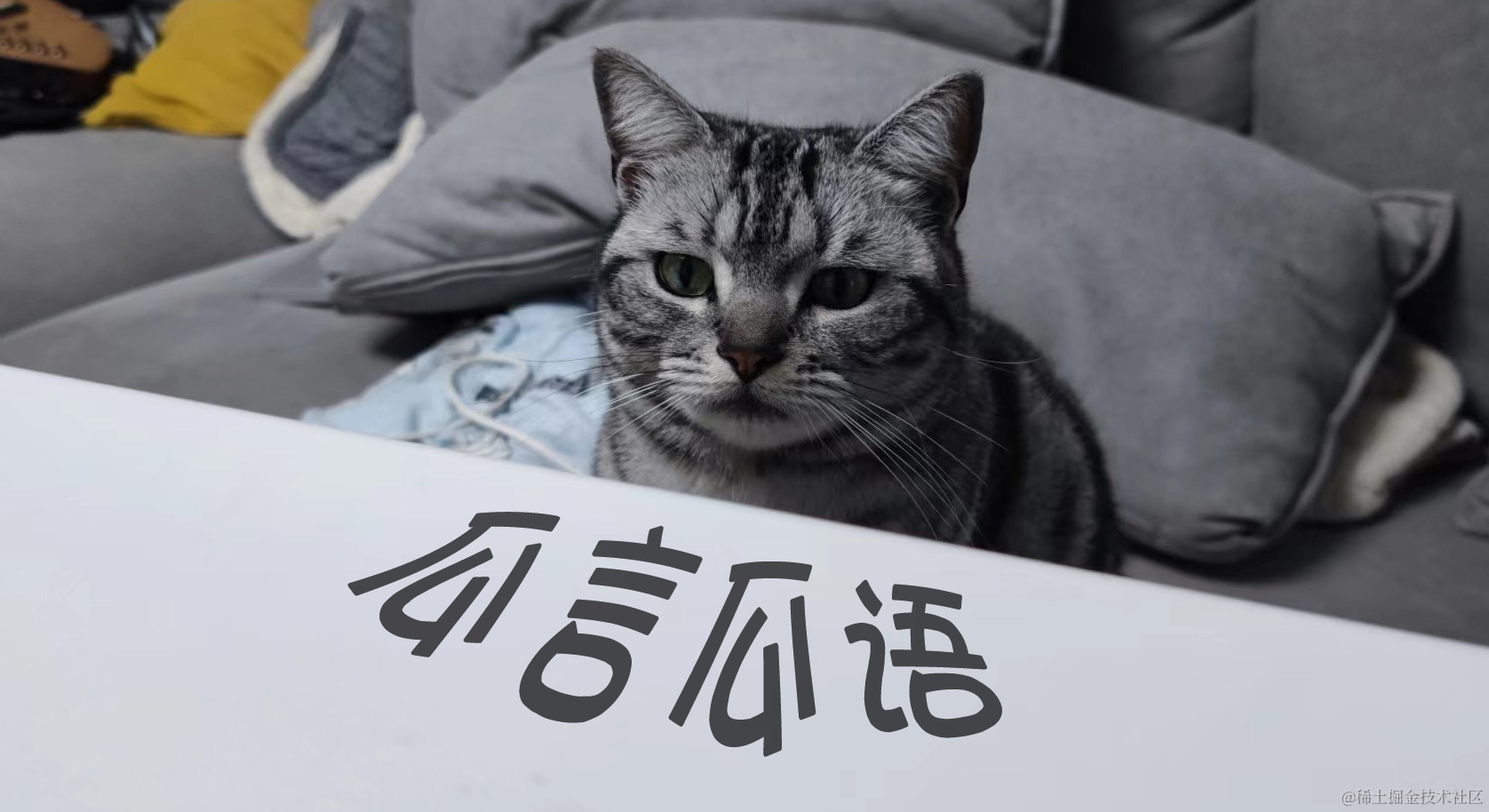 日常碎碎念