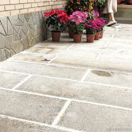 专业填坑户于2023-01-25 11:22发布的图片