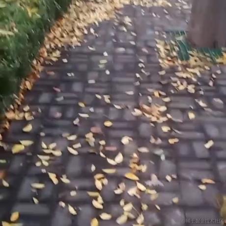 我是乃琳的狗于2022-11-13 09:02发布的图片