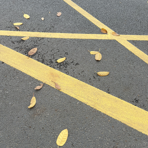 安酱于2023-04-22 09:21发布的图片