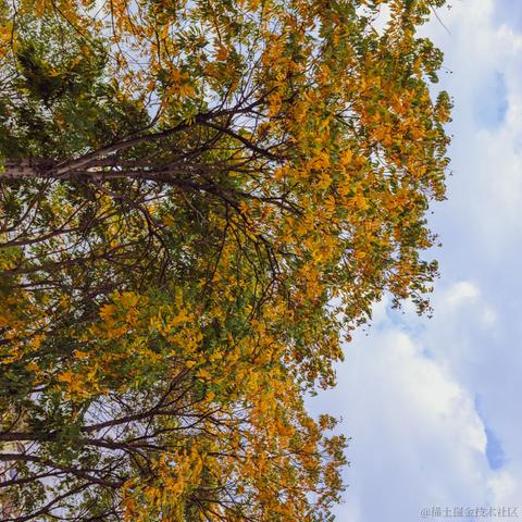 小栗帽永远的神于2022-11-24 10:07发布的图片