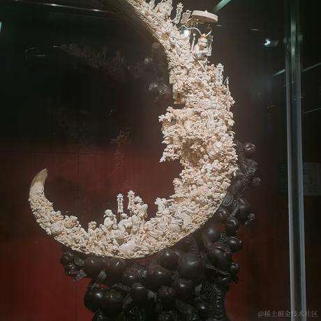 易个神经饼于2023-07-03 11:49发布的图片