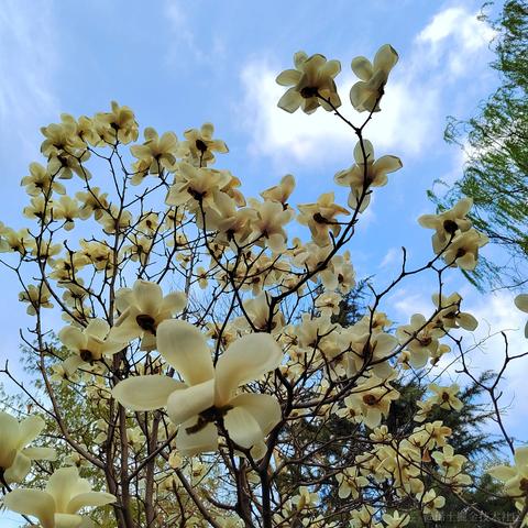taoye于2023-04-10 22:15发布的图片