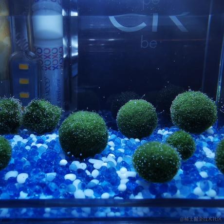 HEITC于2022-11-30 01:21发布的图片