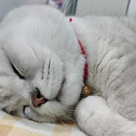 叨叨呀于2022-04-18 10:51发布的图片