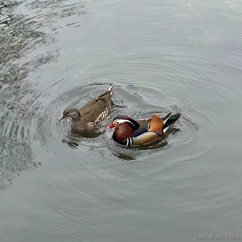 P3rf3ctW0maN于2023-04-13 19:42发布的图片