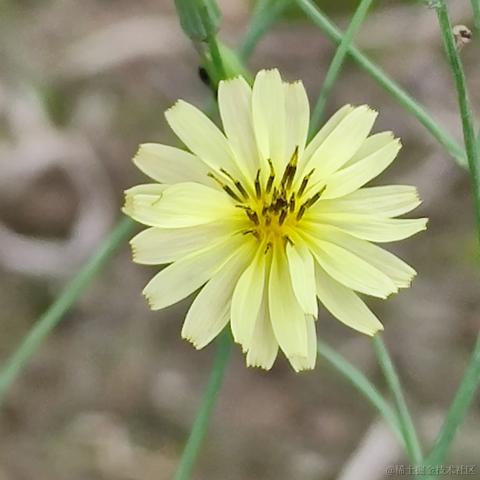 涛涛之海于2023-06-20 05:43发布的图片