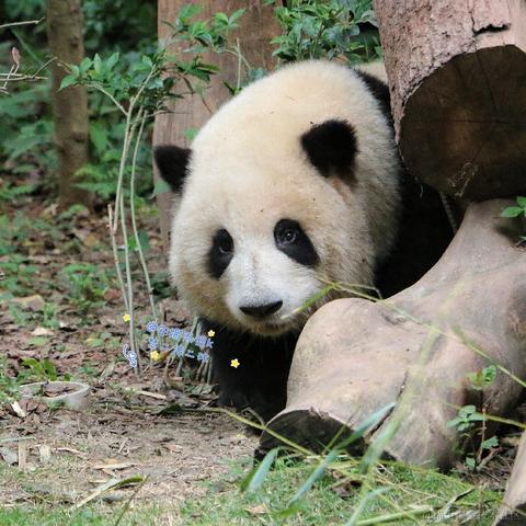 Ricardo_M_Eric于2023-05-26 10:34发布的图片