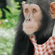 3AA5C3B0.gif