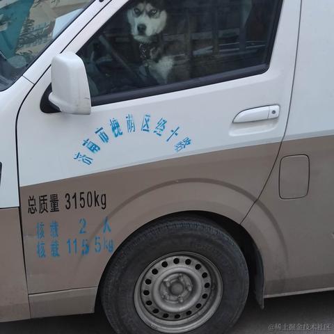汤姆家的狗老鼠于2021-01-11 14:41发布的图片