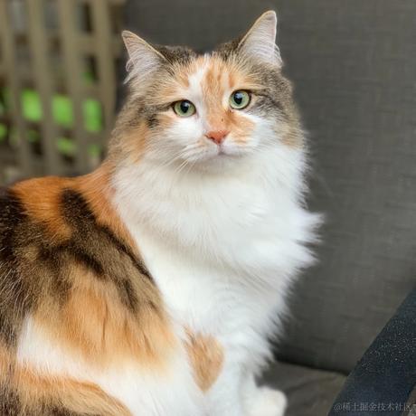 Wei于2022-11-14 23:34发布的图片