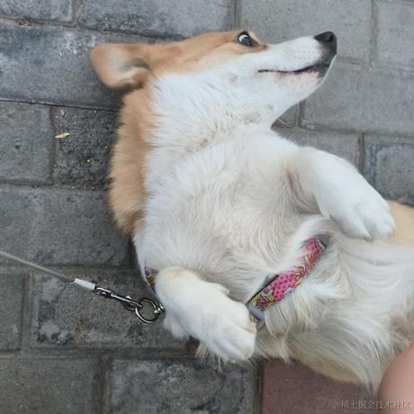 彩票管理中心秘书长于2023-04-06 19:04发布的图片